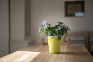 IMG-20230804-WA0022